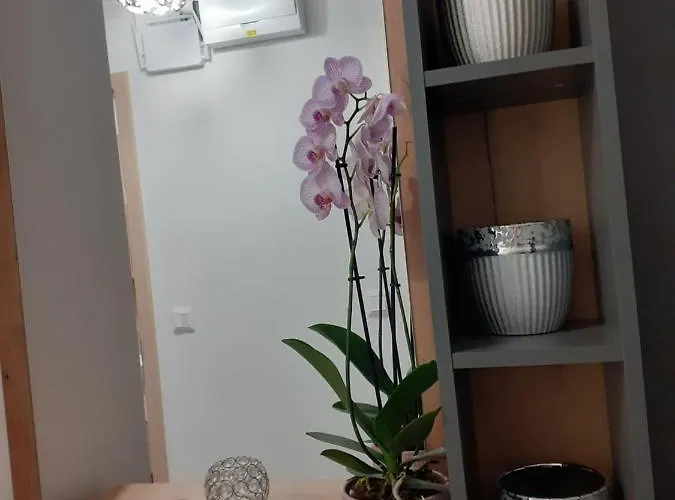 Cirkalo *